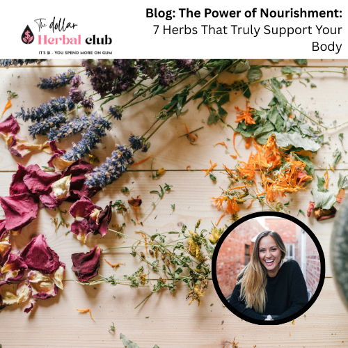 The Power of Nourishment: 7 Herbs That Truly Support Your Body