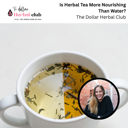 Is Herbal Tea More Nourishing Than Water?