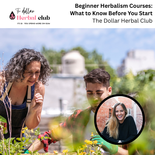 Beginner Herbalism Courses: What to Know Before You Start