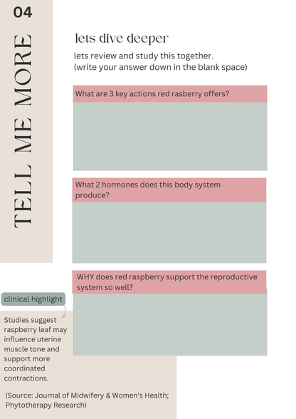 The Salt & Light Herbal Method + BONUS VIDEOS