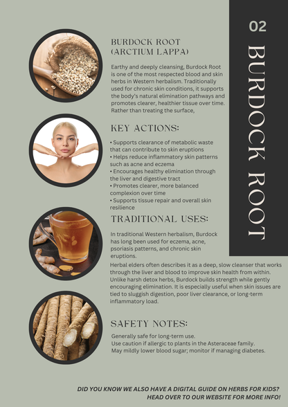 The Salt & Light Herbal Method + BONUS VIDEOS